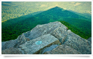 img SharpTop